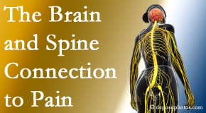 Shoreline Medical Services/ Hutter Chiropractic Office shares at the connection between the brain and spine in back pain patients to better help them find pain relief.