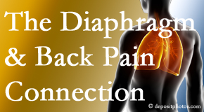 Shoreline Medical Services/ Hutter Chiropractic Office recognizes the relationship of the diaphragm to the body and spine and back pain. 