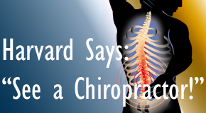 Groton chiropractic for back pain relief urged by Harvard
