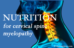 Shoreline Medical Services/ Hutter Chiropractic Office shares the nutritional factors in cervical spine myelopathy in its development and management.