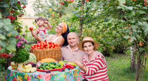 Groton chiropractic summer health tips