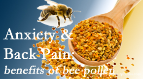 Shoreline Medical Services/ Hutter Chiropractic Office shares info on the benefits of bee pollen on cognitive function that may be impaired when dealing with back pain.
