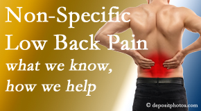 Shoreline Medical Services/ Hutter Chiropractic Office describes the specific characteristics and treatment of non-specific low back pain. 
