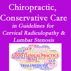 Groton chiropractic care for cervical radiculopathy and lumbar spinal stenosis is often ignored in medical studies and recommendations despite documented benefits. 