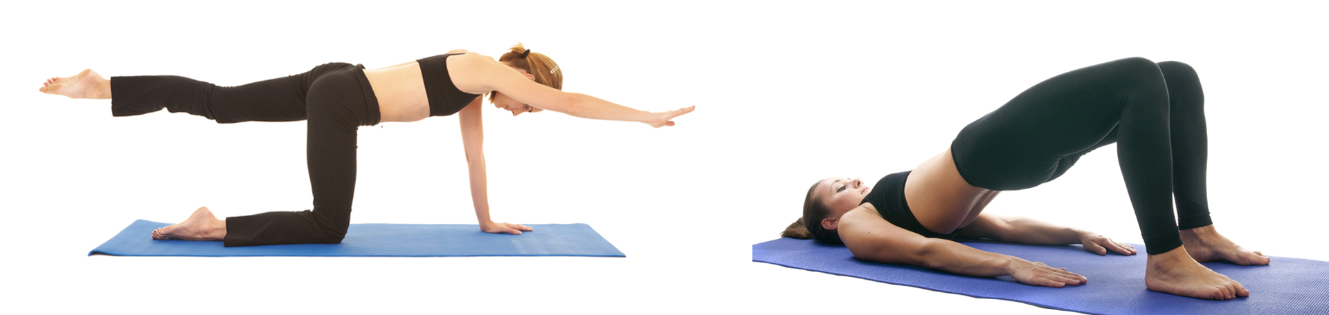 Groton chiropractic exercise to strengthen multifidus 