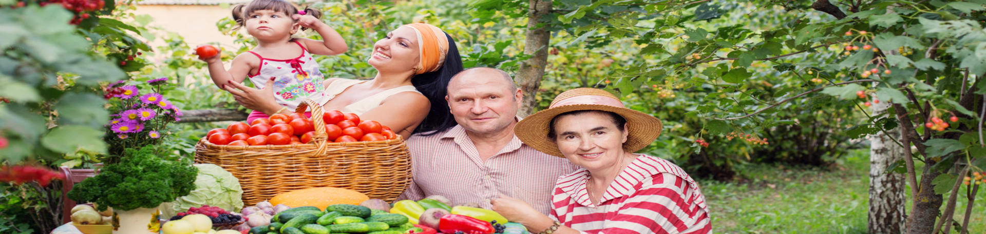  Groton chiropractic summer health tips