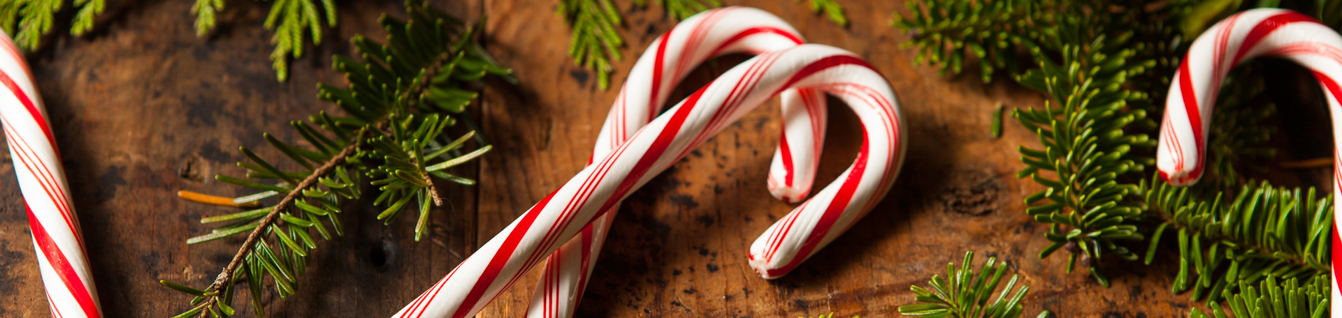 Peppermint for Groton Cognition & Appetite Regulation!