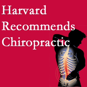 Shoreline Medical Services/ Hutter Chiropractic Office offers chiropractic care like Harvard recommends.