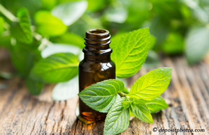 Groton peppermint pain relieving benefits
