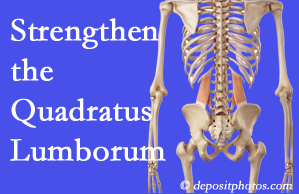 Groton chiropractic care offers exercise recommendations to strengthen spine muscles like the quadratus lumborum as the back heals and recovers.