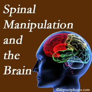 Shoreline Medical Services/ Hutter Chiropractic Office [presents research on the benefits of spinal manipulation for brain function. 