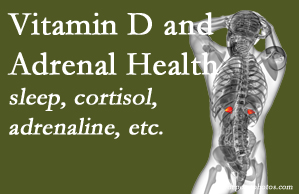 Shoreline Medical Services/ Hutter Chiropractic Office shares new studies about the effect of vitamin D on adrenal health and function.